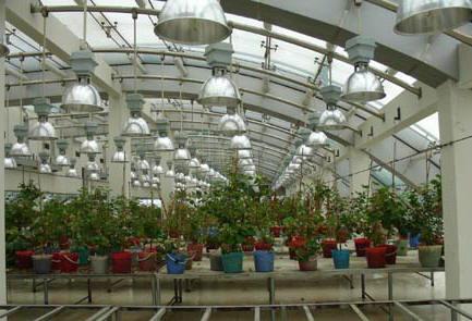 江南電子儀器廠 創新引領，打造電子設備智造新高地