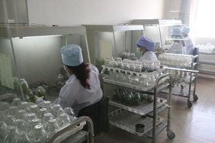 駐馬店地區(qū)考察團對西夏王葡萄酒產(chǎn)品質量和市場營銷給予了高度評價